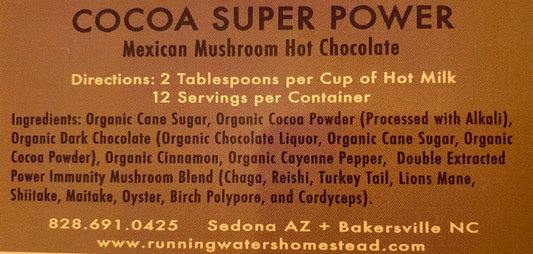 Cocoa Super Power- Mexican Mushroom Hot Chocolate