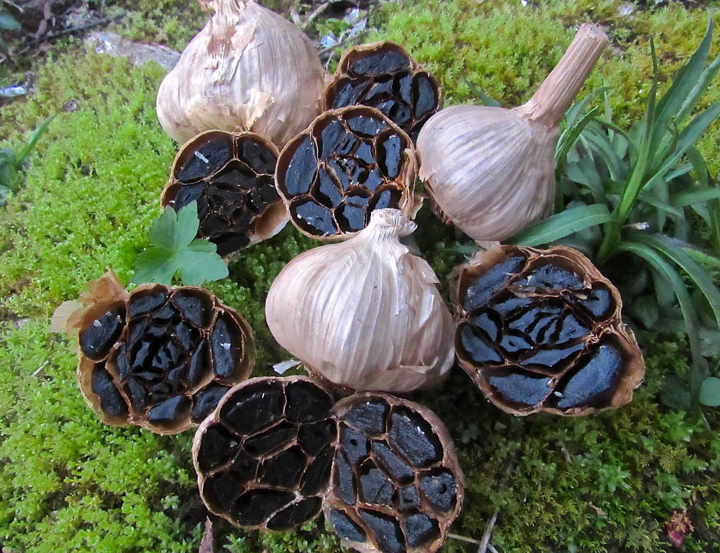Black Garlic 3 Heads | Fermented for Eating, Not Planting