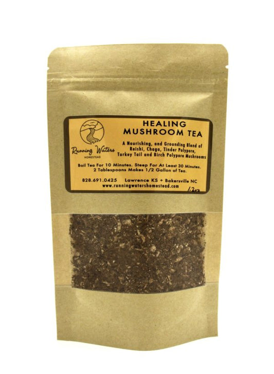 Medicinal Mushroom Tea Blend