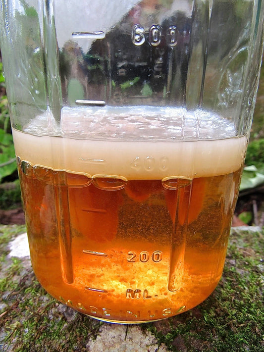 Clear container with amber liquid on a natural background