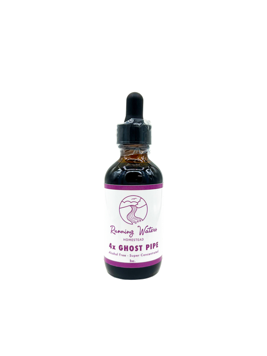 A 4x Ghost Pipe herbal tea extract in an amber glass dropper bottle with a white and purple label, set against a plain white background.