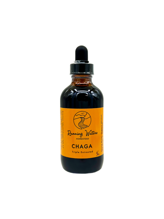 An amber glass dropper bottle of Running Water Herbs Chaga Root Extract, featuring a bright orange label and a black dropper cap, set against a plain white background.