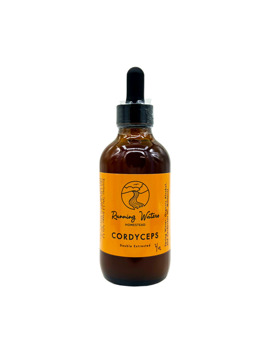 An amber glass dropper bottle of Running Water Herbs Cordyceps Double Strength liquid supplement, featuring a bright orange label and black dropper cap, set against a plain white background.