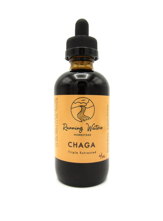 A bottle of Triple Extracted Chaga Mushroom Tincture with a label that includes the brand name and the product name.